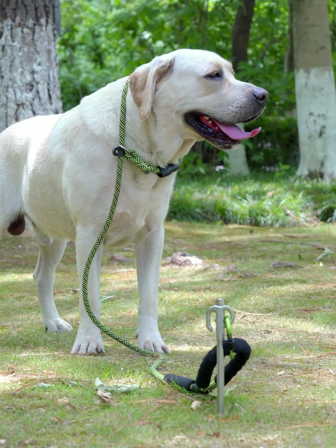 CAMPINGMOON K45 Bold 420 Stain - Outdoor Camping Dog Fence ulasan dan harga